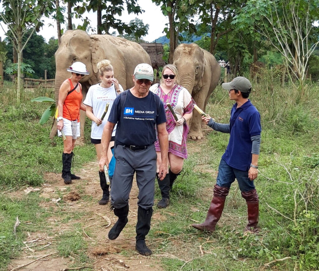 Elephant trekking