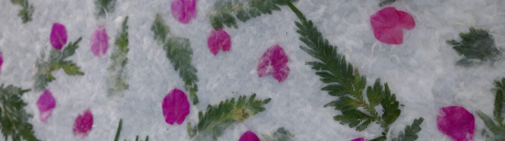 Mulberry paper11