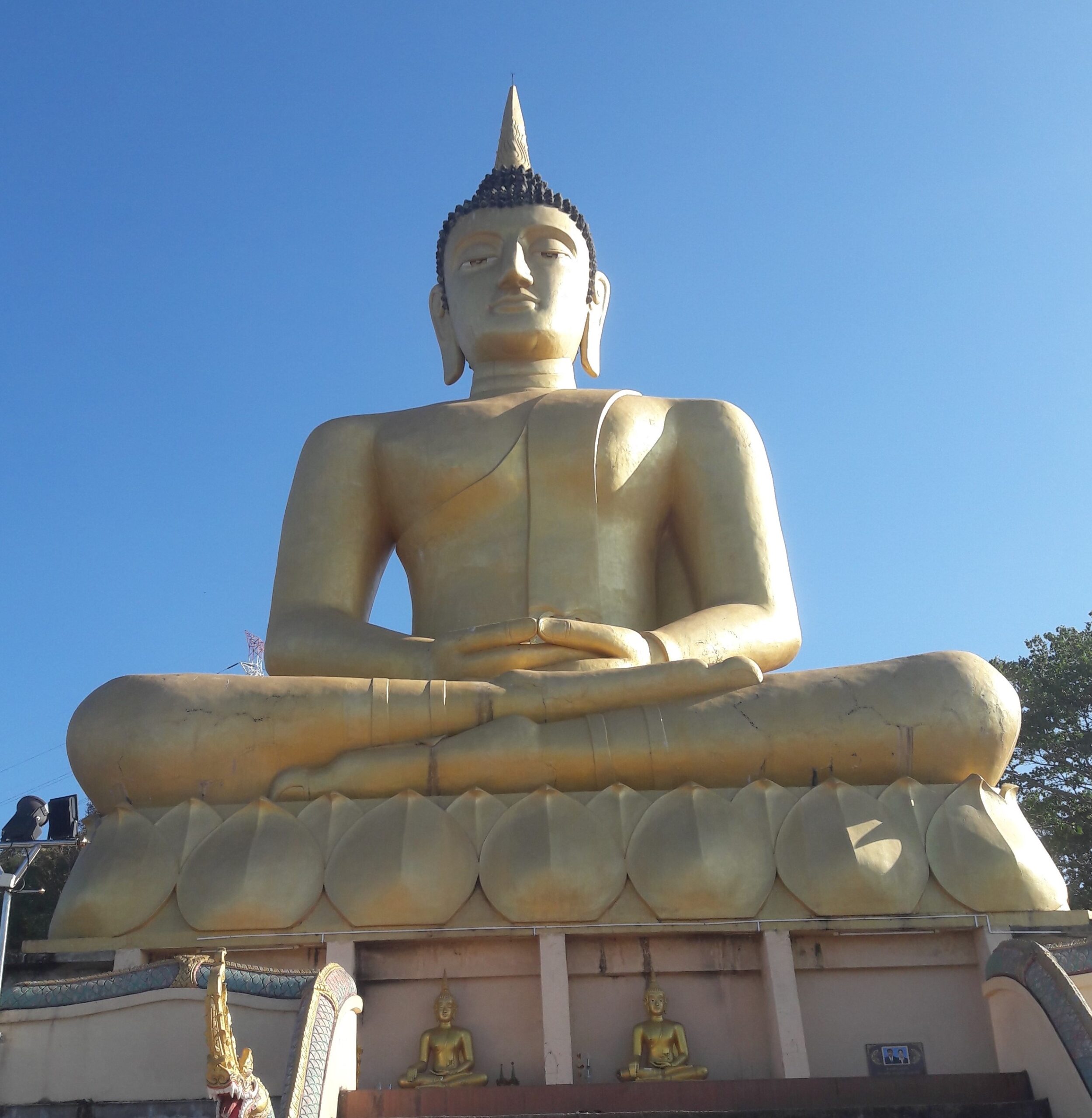 Sacred buddha33