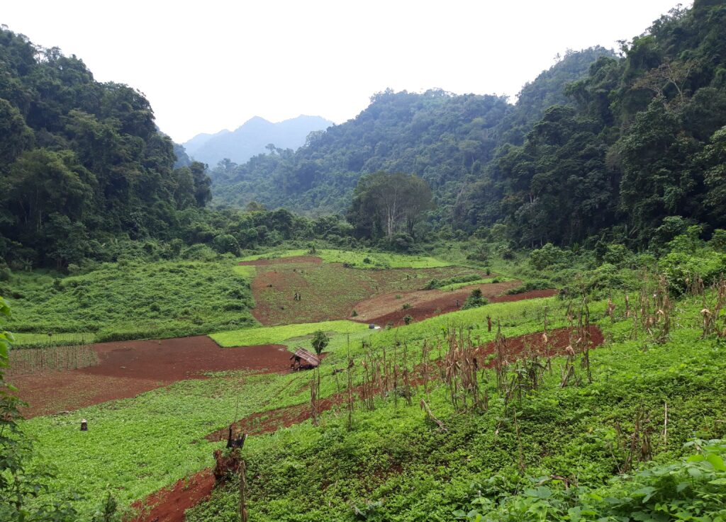 Trekking trail11